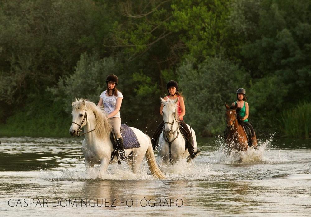Complejo Oasis Beach Sobre El Rio Huerta  Zewnętrze zdjęcie