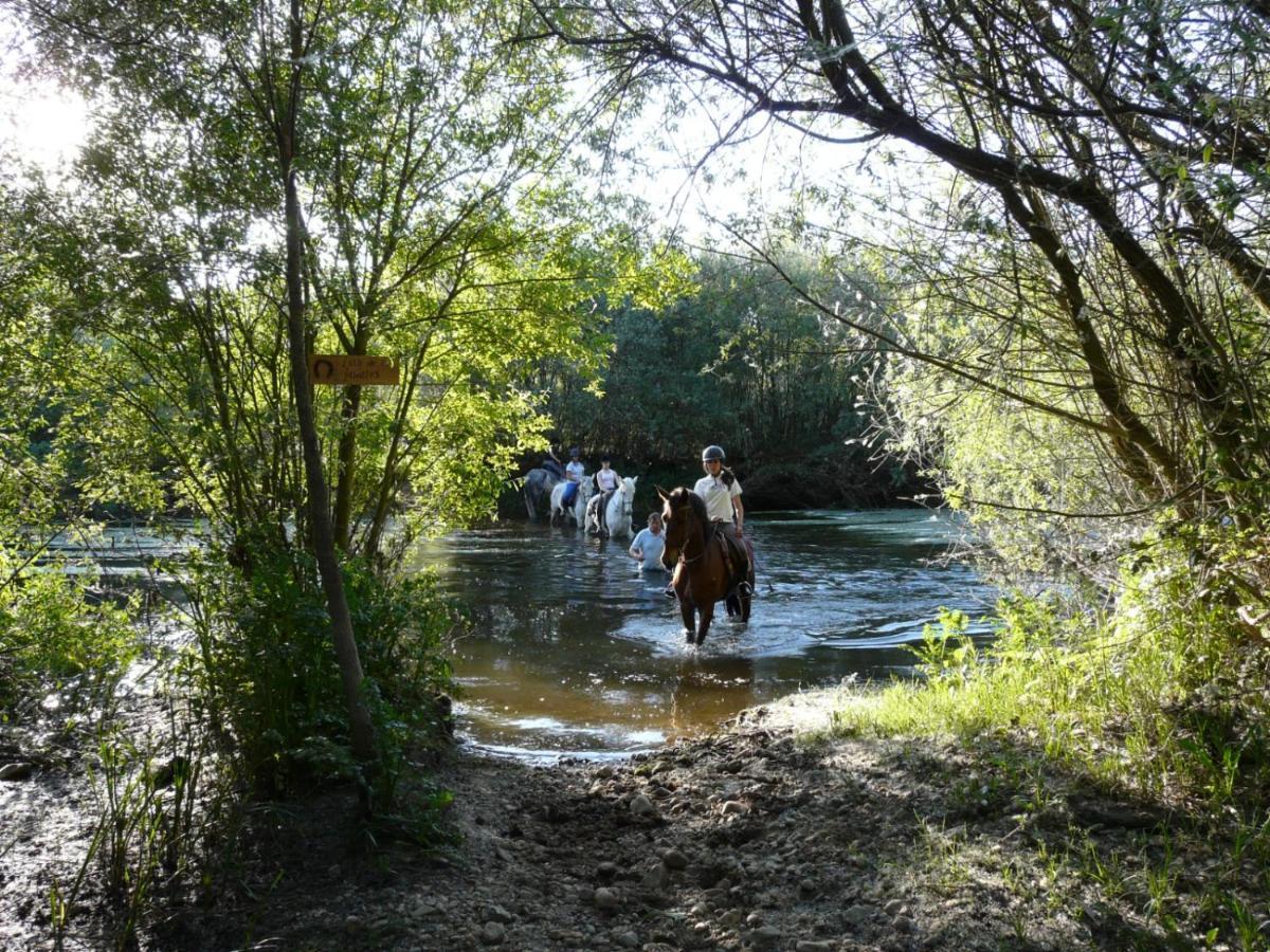 Complejo Oasis Beach Sobre El Rio Huerta  Zewnętrze zdjęcie