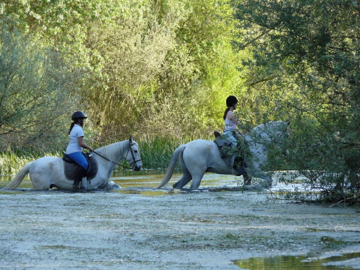 Complejo Oasis Beach Sobre El Rio Huerta  Zewnętrze zdjęcie