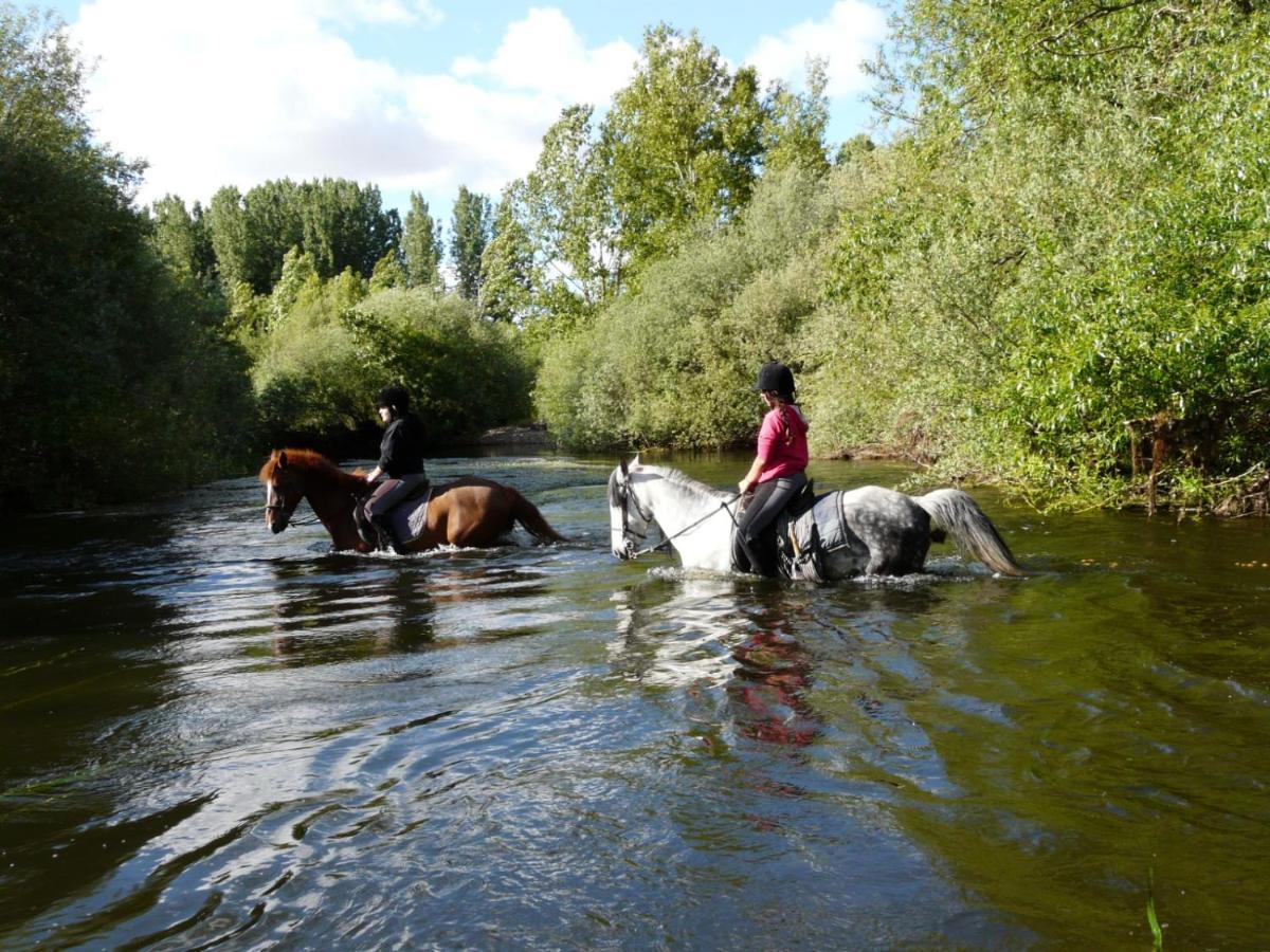 Complejo Oasis Beach Sobre El Rio Huerta  Zewnętrze zdjęcie