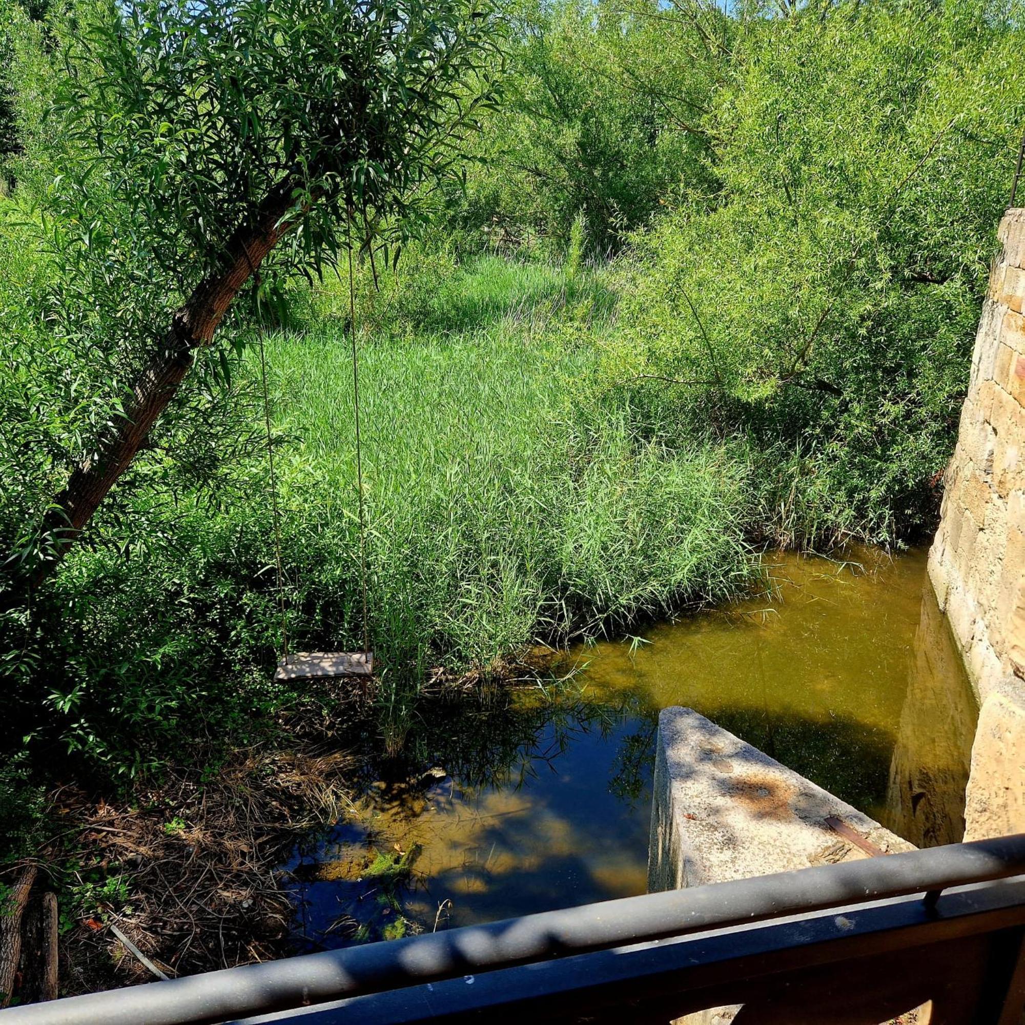 Complejo Oasis Beach Sobre El Rio Huerta  Zewnętrze zdjęcie
