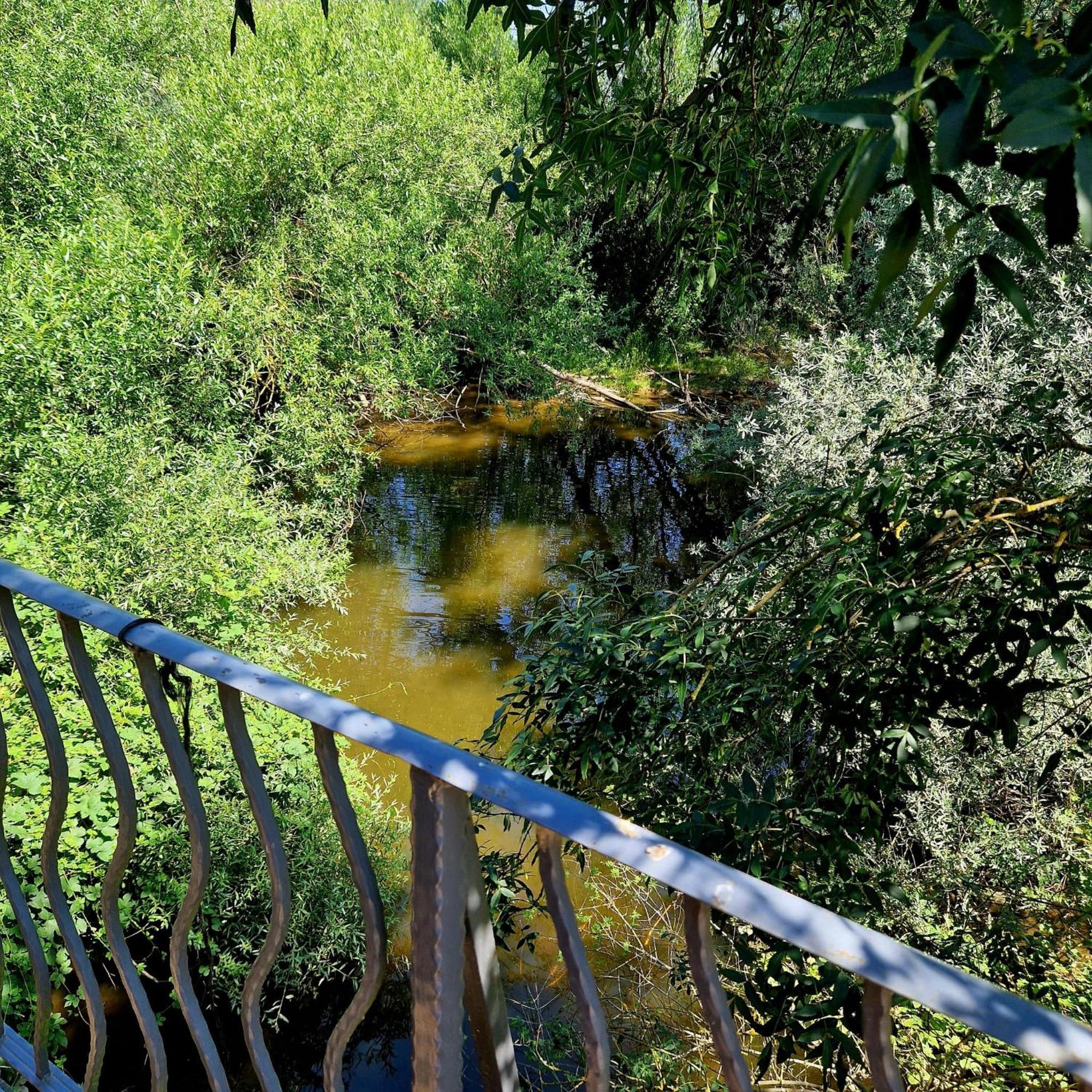 Complejo Oasis Beach Sobre El Rio Huerta  Zewnętrze zdjęcie